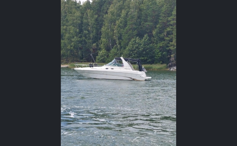 Sea Ray 310 Sundancer-kuva-14